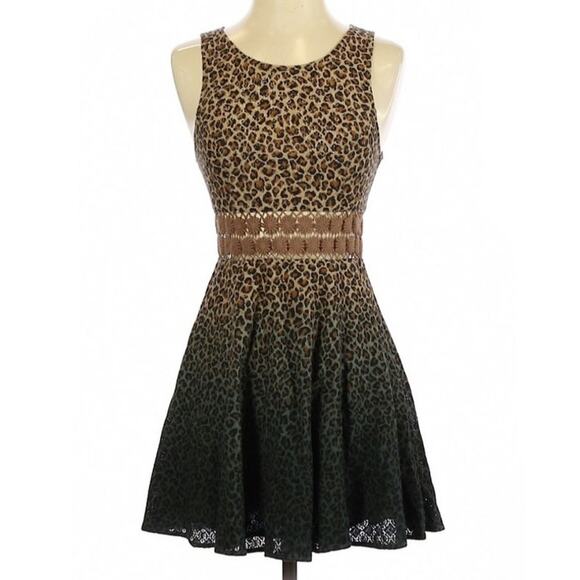 Free People Dresses & Skirts - Free People Ombre Leopard Cheetah Size 2 Mini Dress